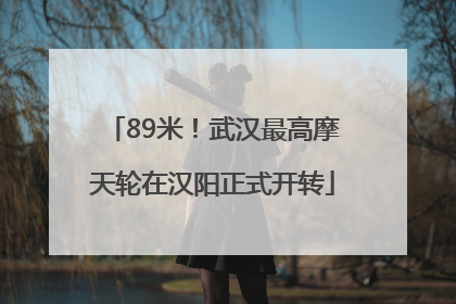 89米！武汉最高摩天轮在汉阳正式开转