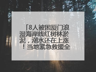 8人被困厦门浪漫海岸线红树林淤泥，潮水还在上涨！当地紧急救援全部脱困
