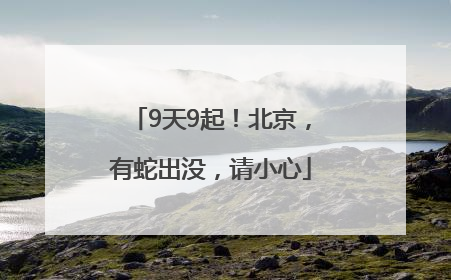 9天9起！北京，有蛇出没，请小心