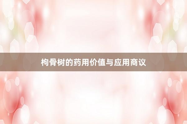 枸骨树的药用价值与应用商议