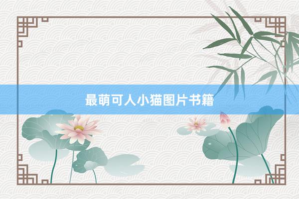最萌可人小猫图片书籍