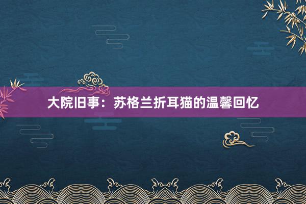 大院旧事:苏格兰折耳猫的温馨回忆