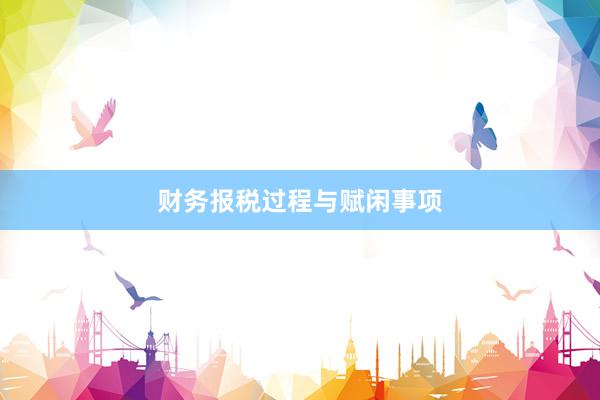 财务报税过程与赋闲事项