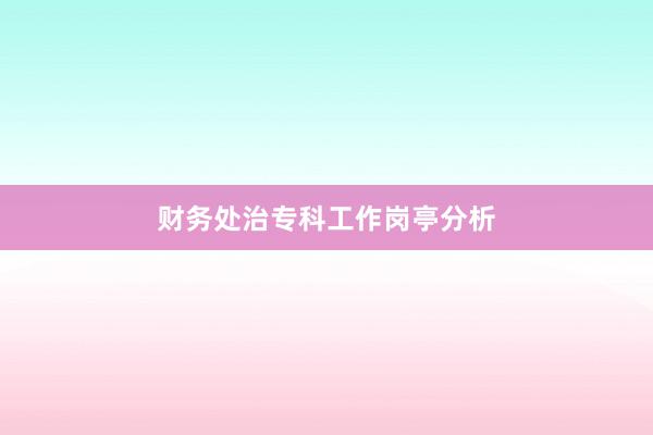 财务处治专科工作岗亭分析
